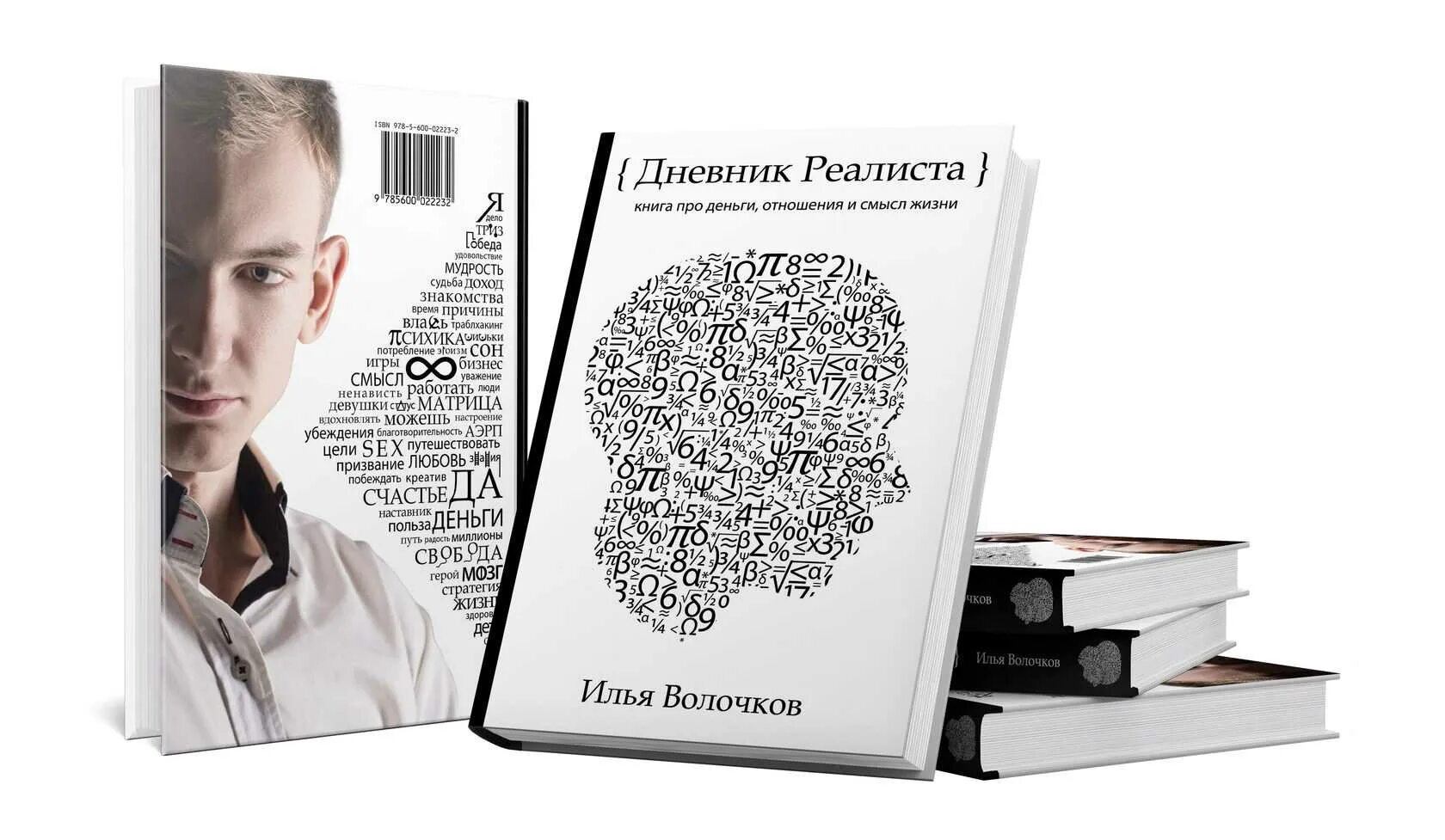 Жизненная книга читать. Дневник реалиста книга.