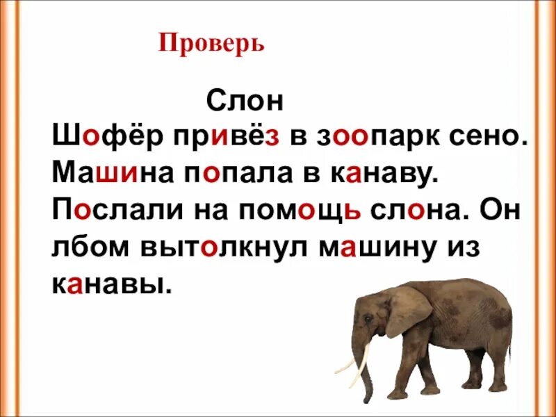 Слоги в слове слон. Изложение про слона. Шофер привез в зоопарк сено. Предложение про слона 1 класс.