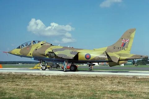 Harrier's