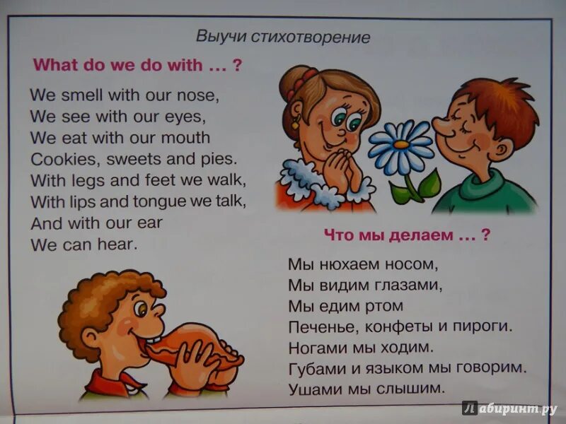 Рассказ о себе на английском. Рассказ по английскому языку. Рассказ на англ языке. Текст о себе на английском.