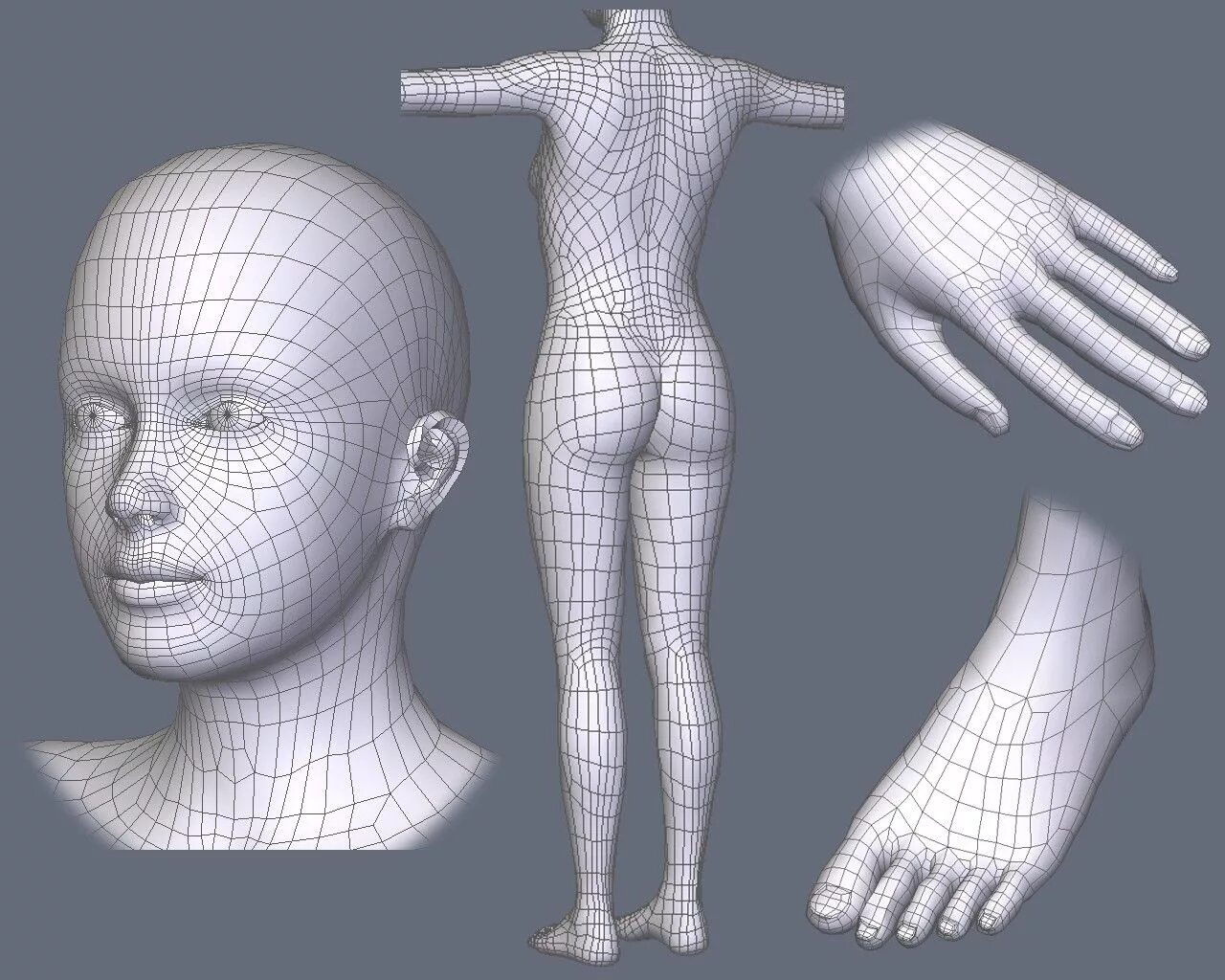 Сетчатое тело. Модель человека для моделирования. Сетка для моделирования лица. Цифровая модель человека. Топология человеческого тела.