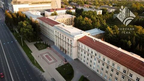 Курский гау факультеты
