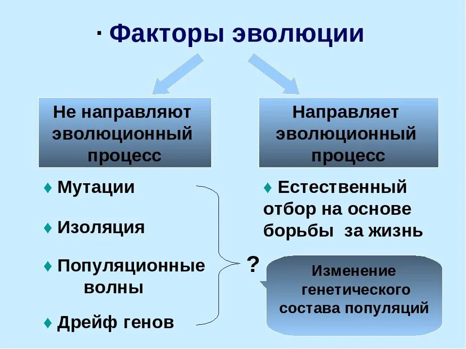 Главным фактором эволюции является