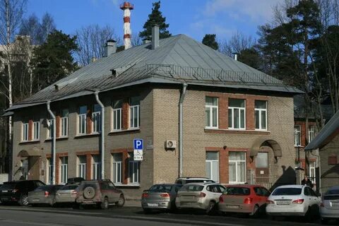 Спб гбуз диспансер