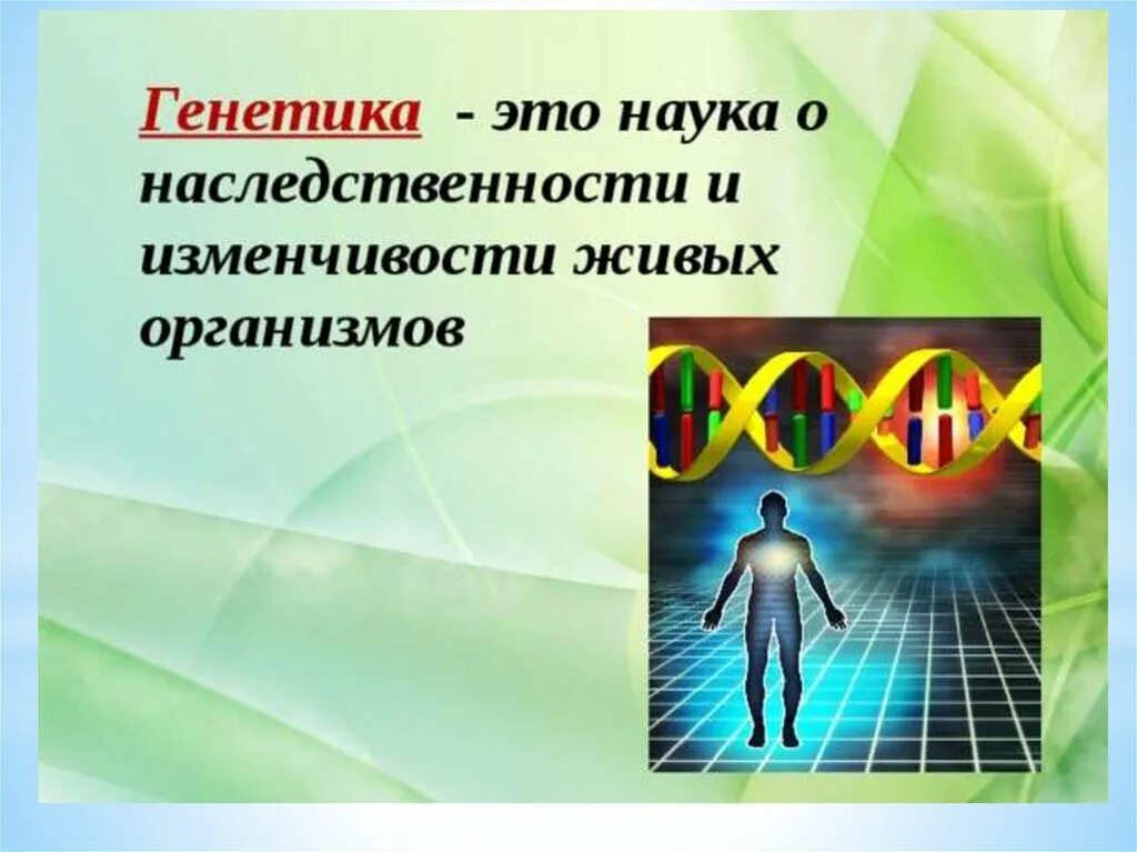 Урок генетика наука о наследственности и изменчивости. Генетика это наука о. Генетика наследственность. Генетика наука о наследственности и изменчивости 10 класс презентация. Генетика для младших школьников.