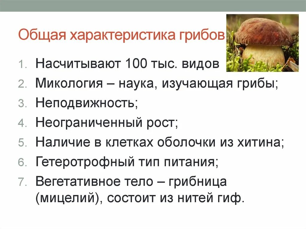 Основные характеристики грибов. Общая характеристика грибов 7 класс биология. Общая характеристика грибов 6 кл. Характеристика грибов 5 класс.