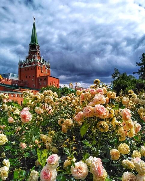 Доброе утро москва. Москва утро лето. Доброе утро Москва лето. Московское летнее утро.