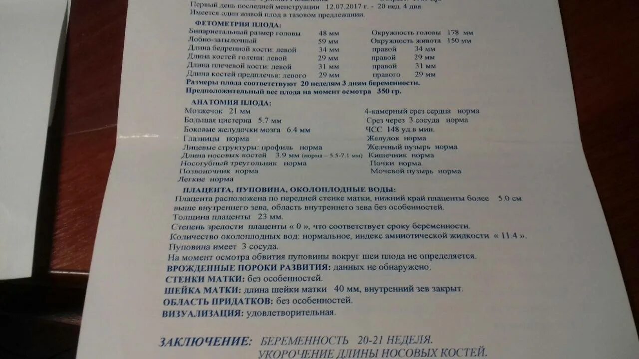 33 недели степень. Нормы желудочков головного мозга у плода. Носовая кость в 20 недель норма. Боковые желудочки мозга норма у плода.