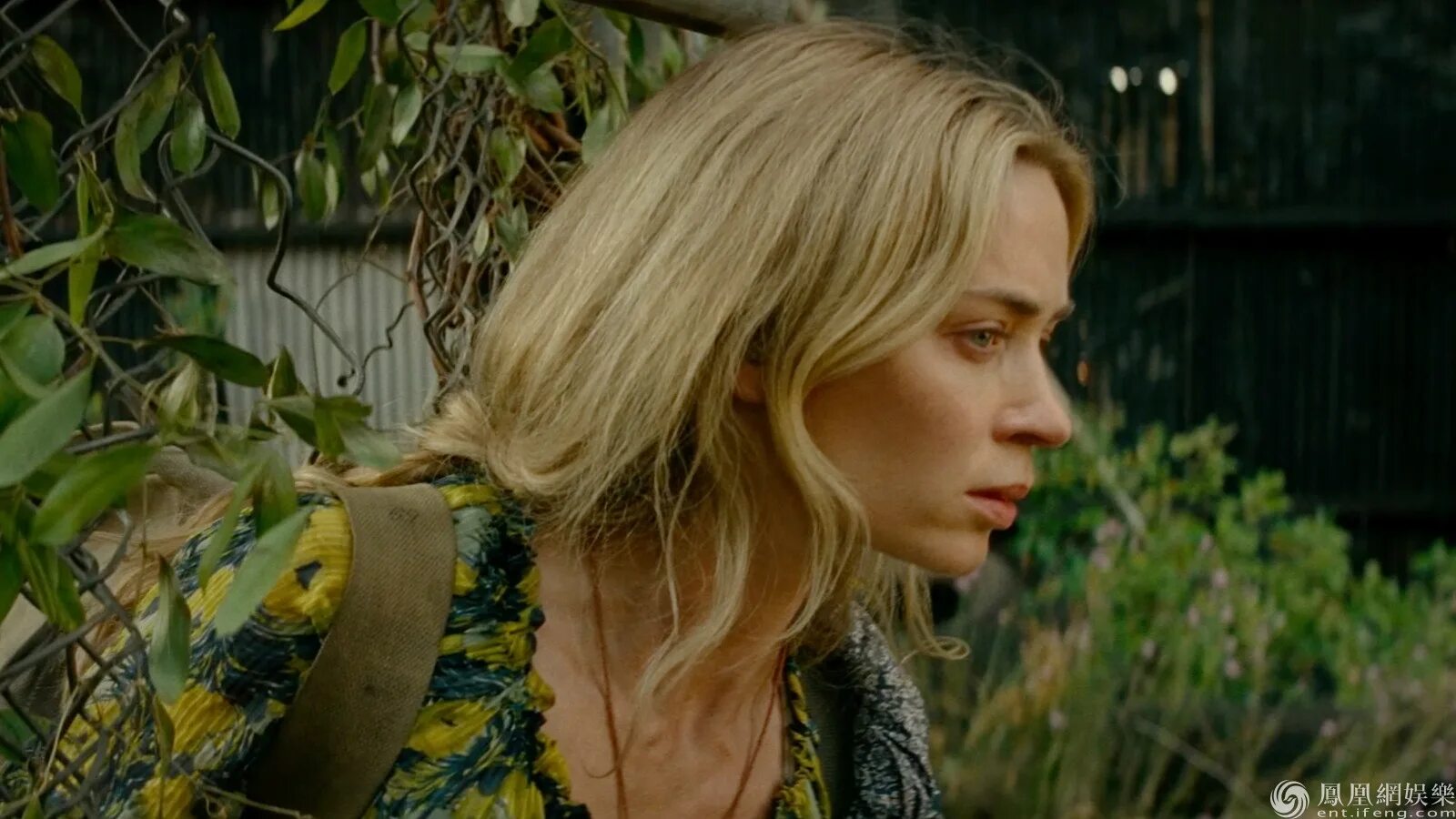 тихое место 2018 эмили. тихое место фильм 2018 кадры. тихое место рассказ. тихое место дочь. тихое место рассказ.