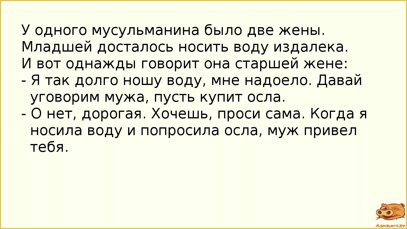 Анекдоты. Анекдоты про мусульман. Исламские анекдоты. Дырка мужа рассказ