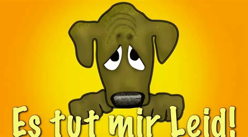 Tut leid. Es tut mir so leid bushido. Es tut mir so leid bushido. Tut mir leid. Entschuldigung.