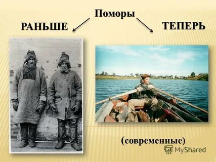 Кто такие поморы