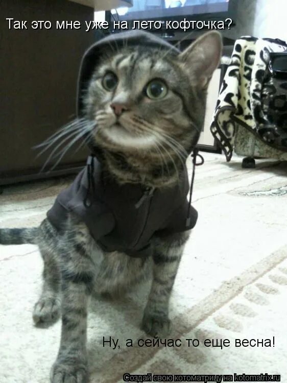 Зиму перезимовали осталось перезимовать весну. Марток надевай семь. Марток надевай семь порток. Придет марток надевай семь порток. Марток надевай порток.