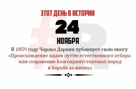 24 ноября форум