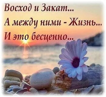 А между ними жизнь