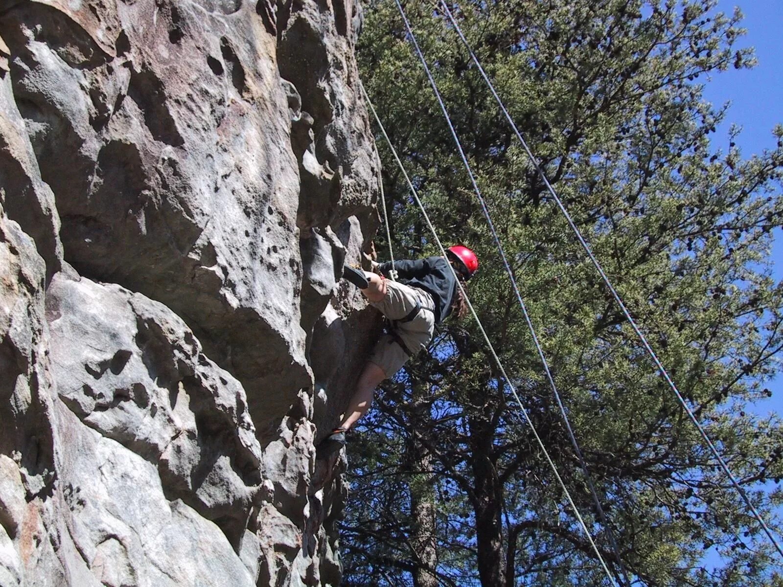 Climb forms