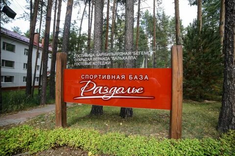 Раздолье чайковский