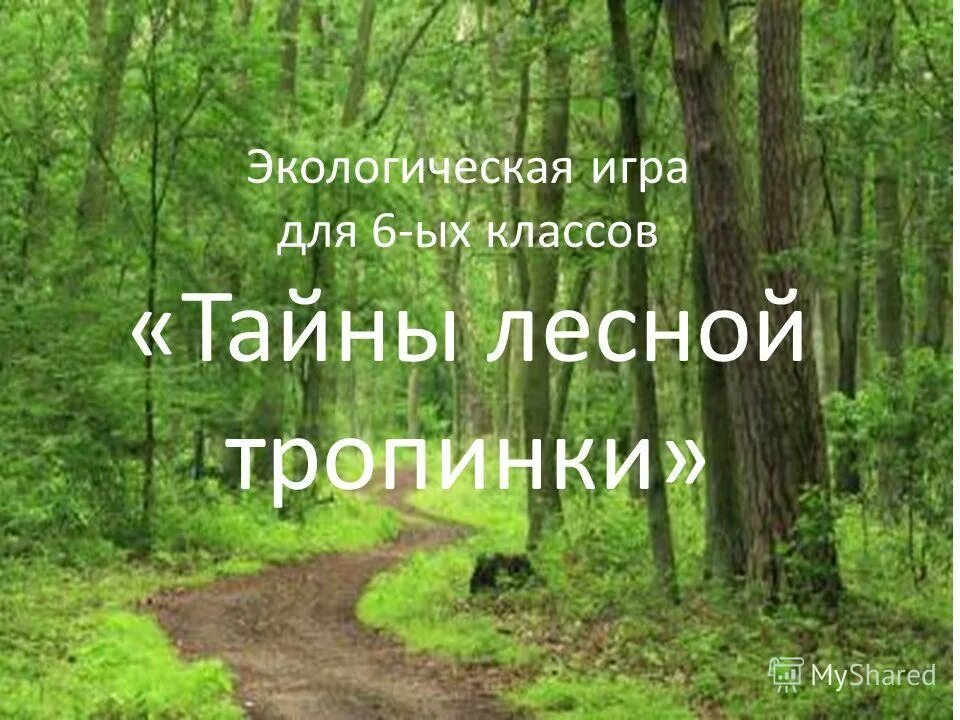 Тайны Лесной тропинки. Презентация «тайны Лесной тропинки». Интеллектуальная игра тайны Лесной тропинки. Игровая экологическая дорожка.