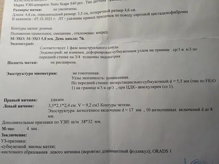 1 доминантный фолликул
