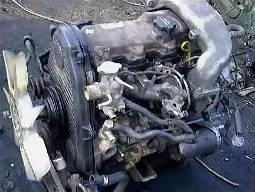 Тойота дюна двигатель 3l. Ом 447. 8 дизель. Тойота хайс двигатель 3l. Номер двигателя старекс 2.
