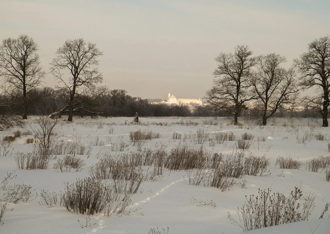 прид рирчиво. белые гуси стояли посередине заросшей муравой улицы. перовская мурава утка. белые гуси стояли посередине заросшей муравой улицы. гуси в деревне.