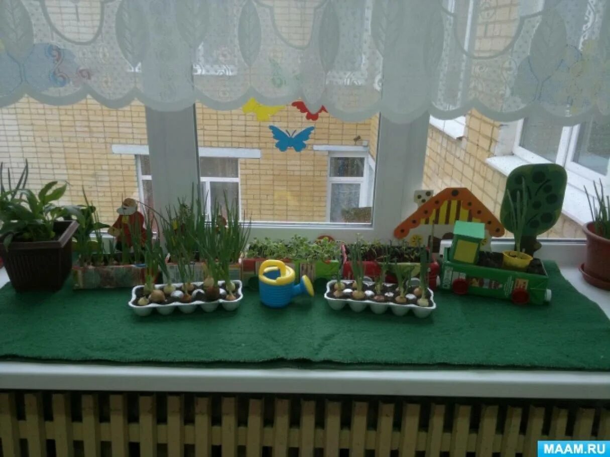 Огород на окне подготовительная группа. Огород на окне подготовительная группа. Огород на подоконнике в детском. Огород на подоконнике в ср. Огород на окне младшая группа.