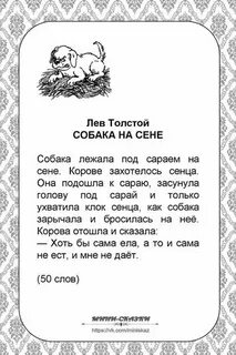 Сене что означает