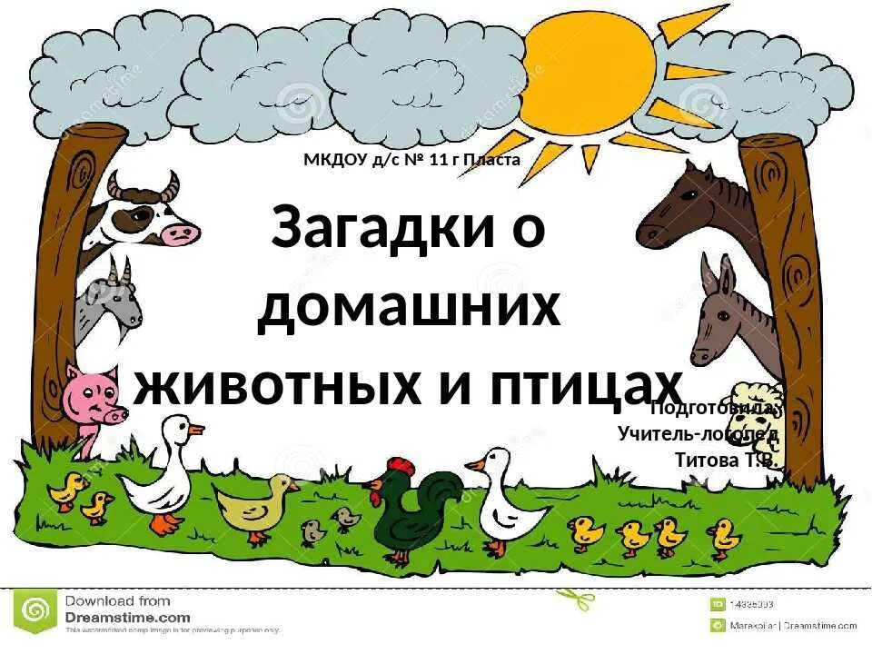 Все загадки животных. Загадки про животных для детей.