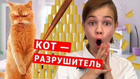 7 серию кота