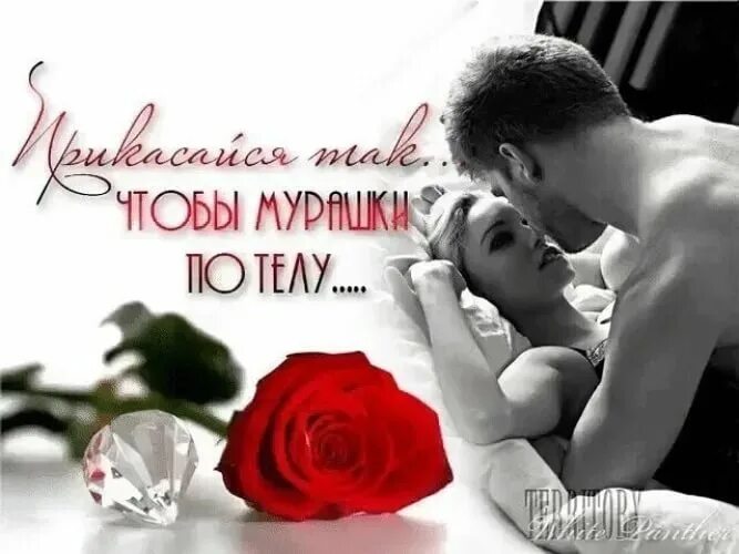 страстные поцелуи. я тебя хочу картинки. хочу тебя картинки. обнимаю тебя. хочу обнять картинки.