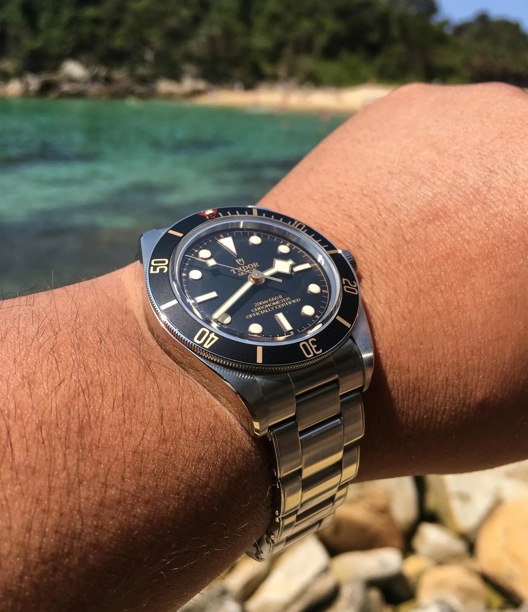 Tudor black bay. Black bay. Tudor black bay 58 chrono. Tudor black bay pro. Black bay.