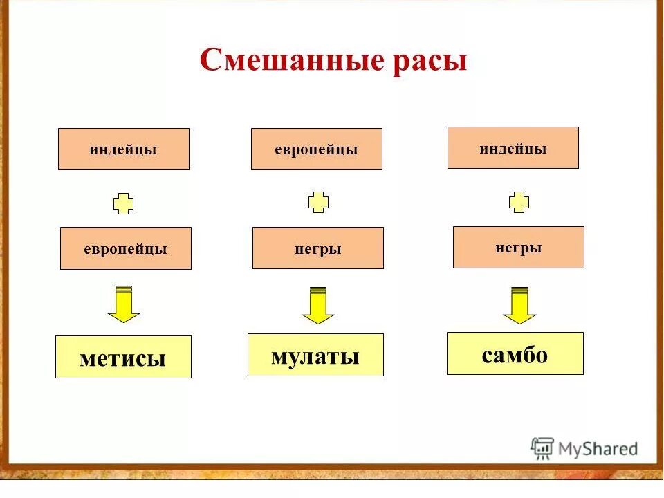 Креолы это смесь каких рас. Схема расы человека. Смешанные расы. Смешанные расы схема. Человеческие расы схема.