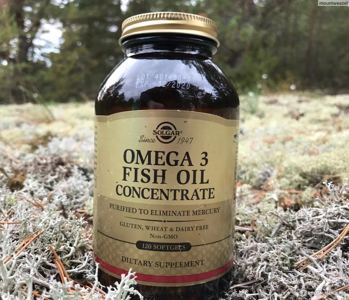 Омега 3 Солгар. Омега Фиш Ойл концентрат Солгар. Solgar Omega 3 Concentrate. Omega 3 Fish Oil Solgar. Омега лучшие производители отзывы