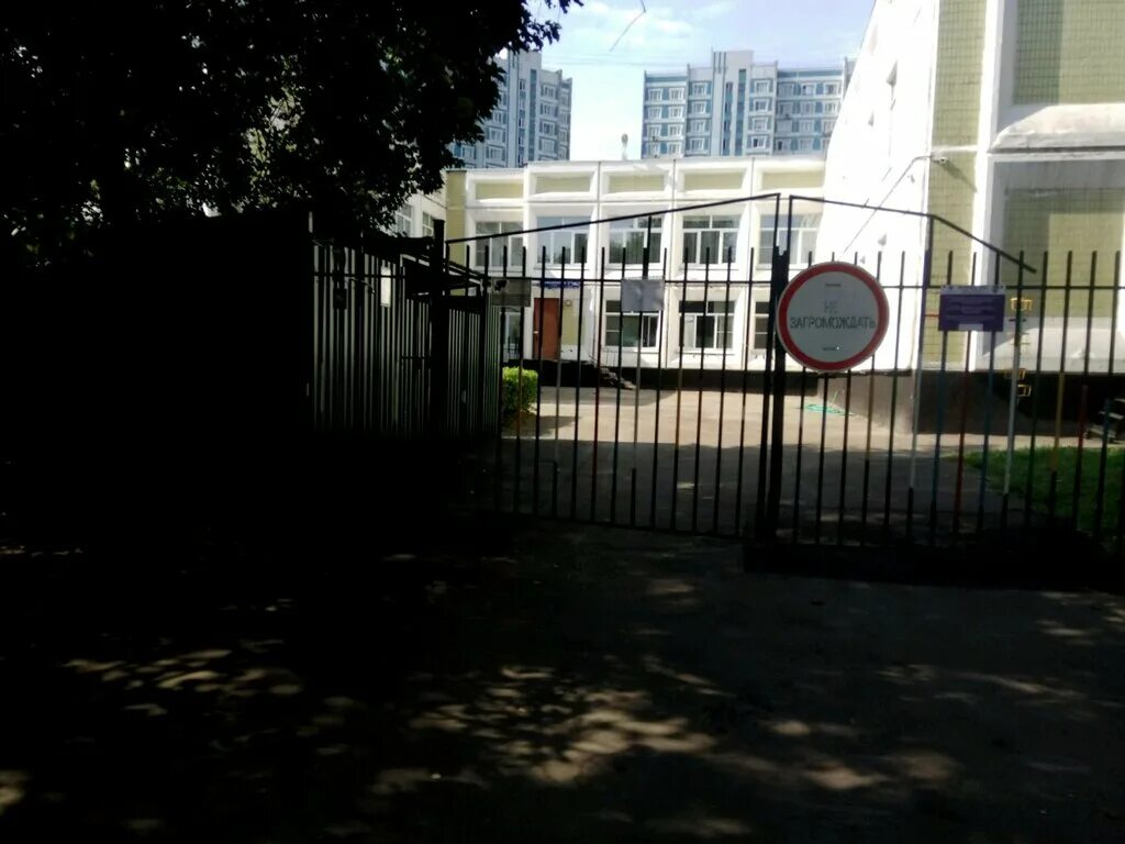 гбоу школа дмитровский 1631. директор. п. п кислякова. дмитровская школа 5.