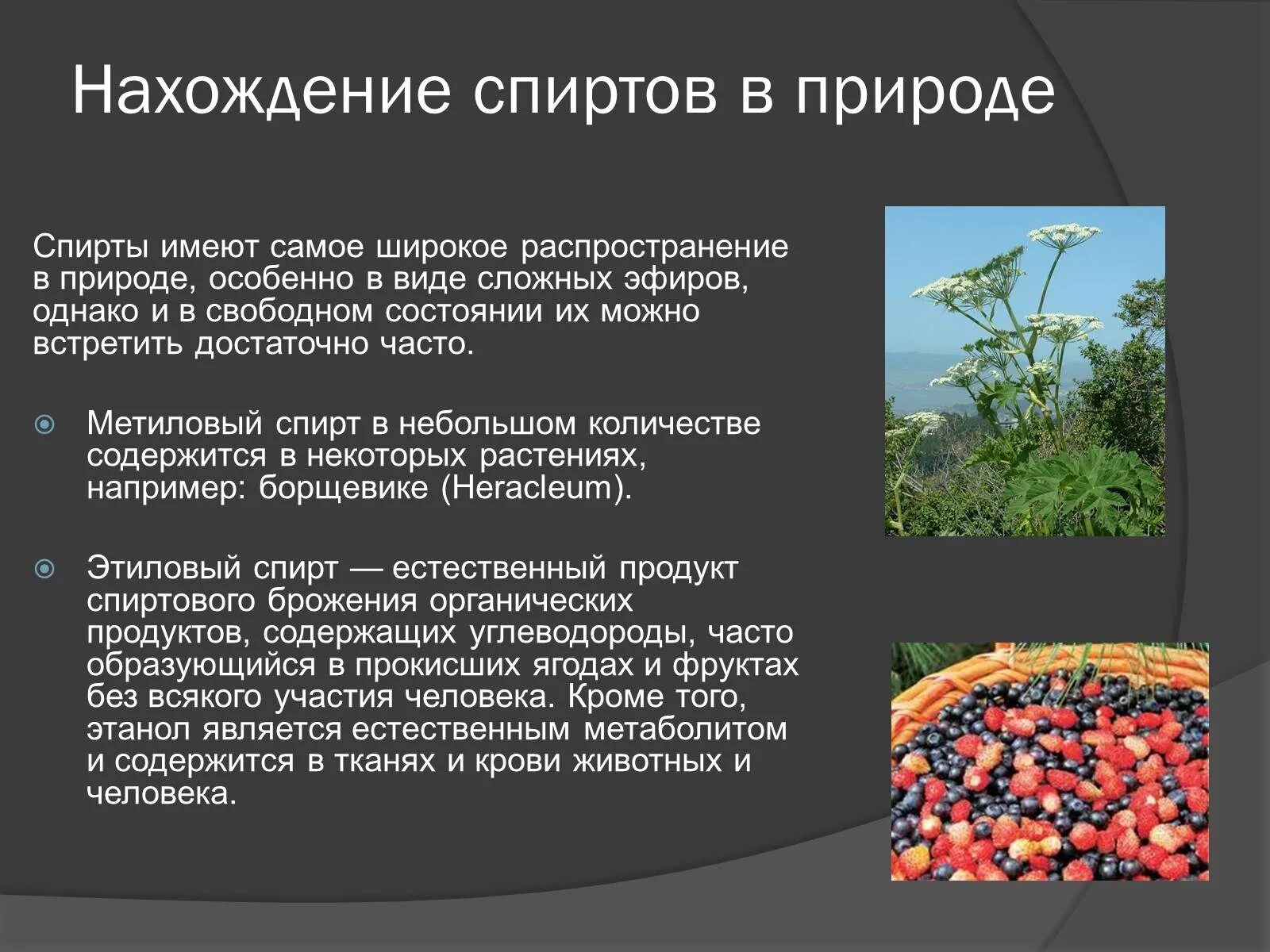 Какое значение отложение органических веществ в запас. Нахождение в природе спиртов. Этанол нахождение в природе. Нахождение в природе одноатомных спиртов.