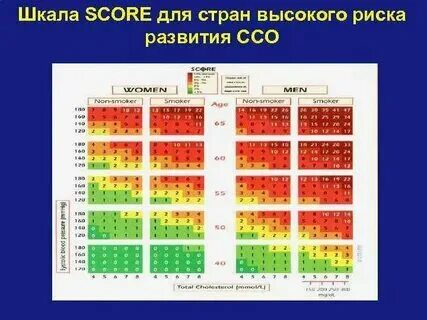 Ссо очень высокий что это значит