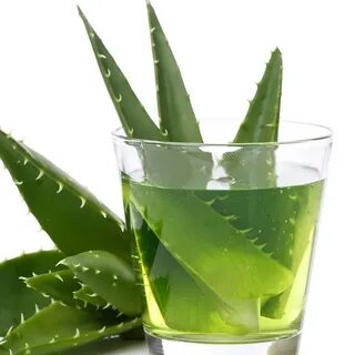Aloe Vera and Rosewater Elixir