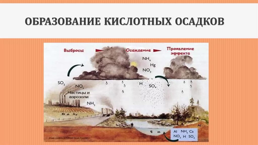 Кислотность осадков. Процесс образования кислотных дождей. Механизм возникновения кислотных дождей. Причины образования кислотных осадков. Кислотные дожди схема.