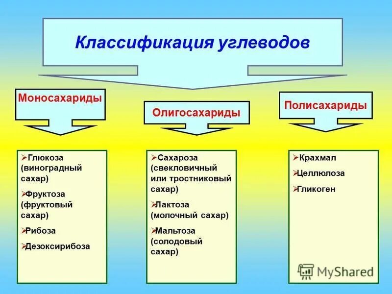 Углеводы классификация моносахариды. Моносахариды олигосахариды полисахариды. классификация углеводов моносахариды. классификация углеводов моносахариды олигосахариды полисахариды. моносахариды дисахариды полисахариды строение.
