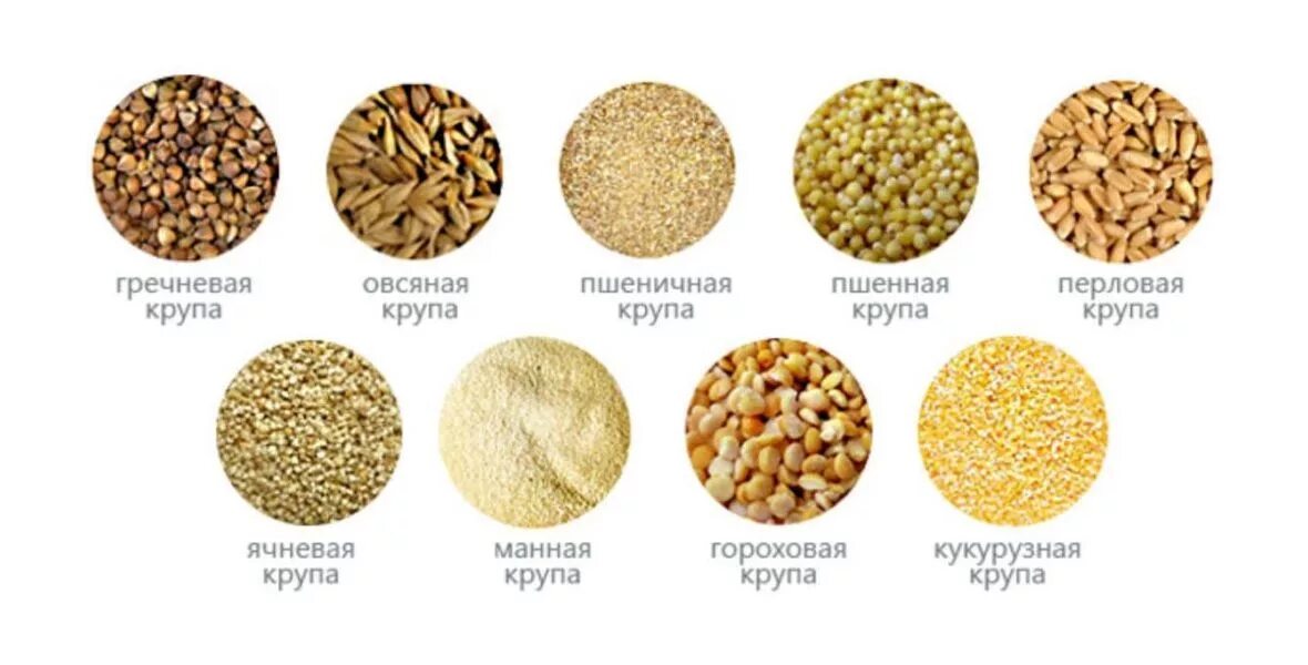 Как называется похожий на рис