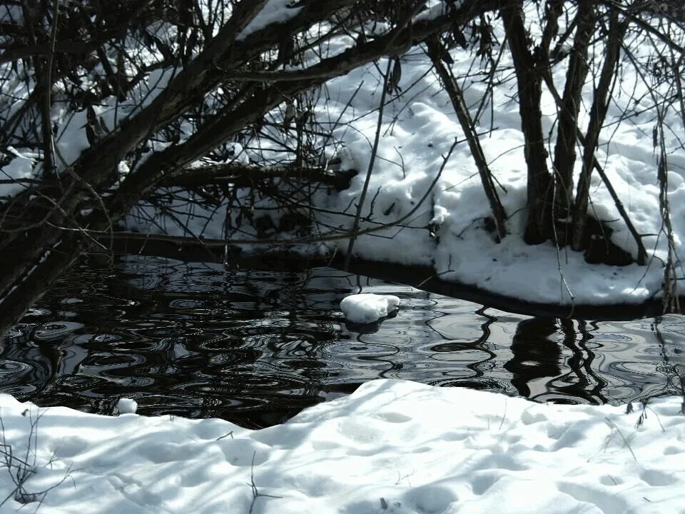 Природа оживает после зимнего сна найди. Ручьи весной. Весенние ручьи. Весенний Ручеек. Снег весной.