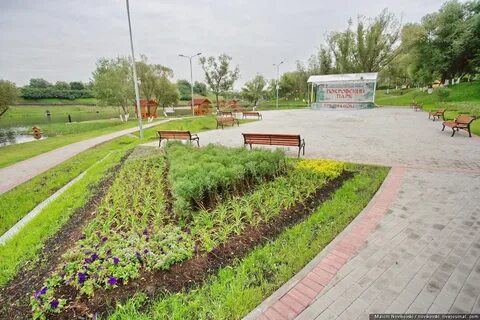 Отдел парков