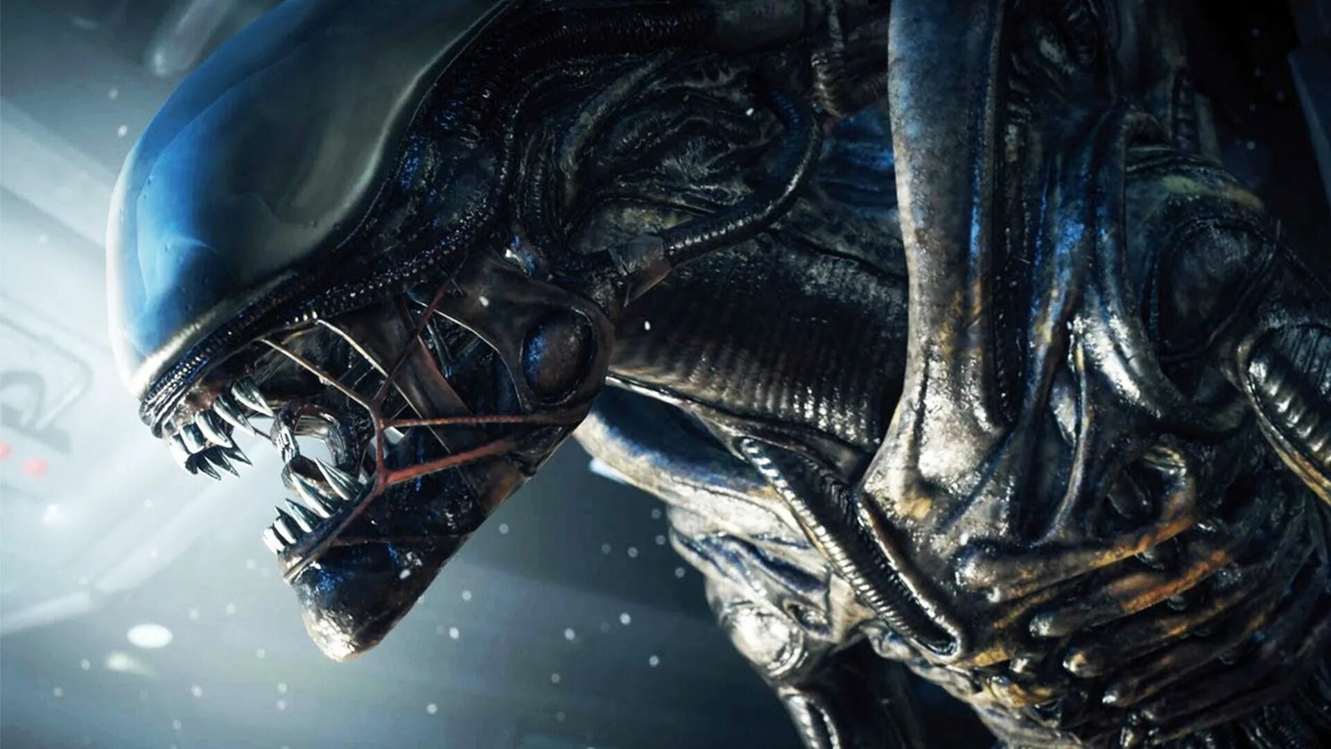 Alien Isolation чужой. Чужие реки чужие мосты