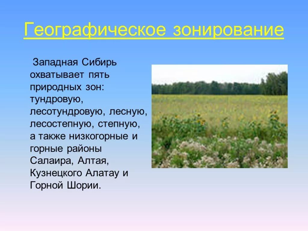 Западная Сибирь презентация. Сибирь презентация 9 класс география. Западная Сибирь 9 класс. Растения Западной Сибири. Хозяйство сибири 9 класс география презентация