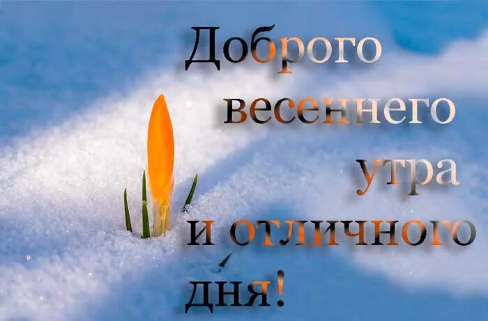 С добрым весенним снежным утром. Доброе Весеннее Снежное утро. С добрым утром снежный март. Доброе веченне Снежное утро.