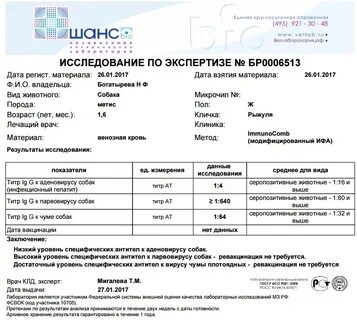 Анализ на титры антител к бешенству