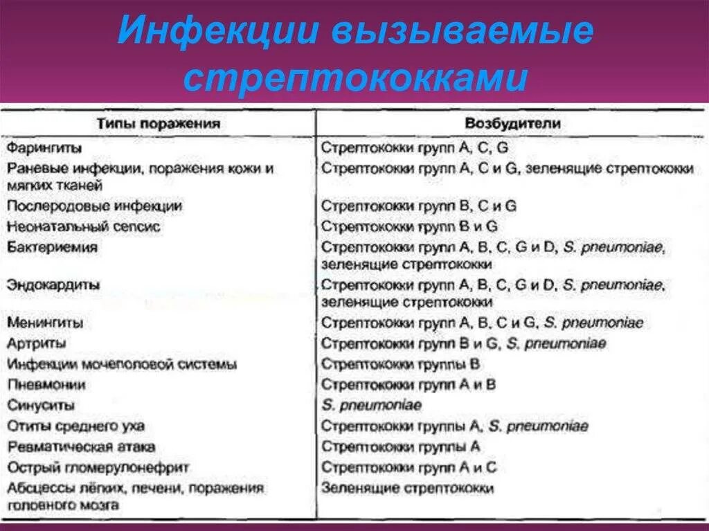 Антибиотик при стрептококковой инфекции группы а. Заболевания вызываемые стрептококками. Клинические проявления стрептококковой инфекции. Заболевания которые вызывают стрептококки. Тест стрептококк группы а