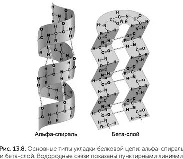 B спираль