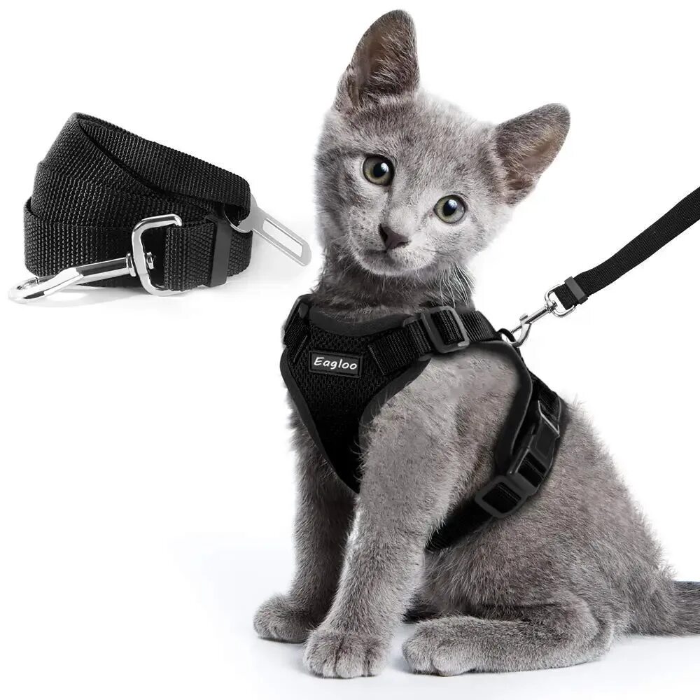 Шлейка Comfy harness. Rabbitgoo шлейка. Шлейка Foxie. Шлейка Eagloo. Авард для кошек купить