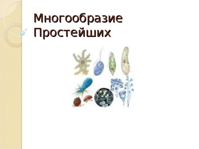 Объясните многообразие простых. Многообразие простейших.